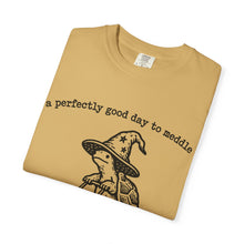 A Perfectly Good Day To Meddle T-Shirt