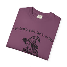 A Perfectly Good Day To Meddle T-Shirt