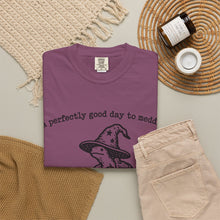 A Perfectly Good Day To Meddle T-Shirt