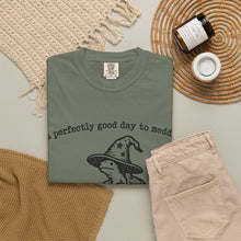 A Perfectly Good Day To Meddle T-Shirt