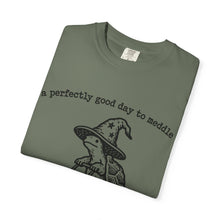 A Perfectly Good Day To Meddle T-Shirt