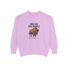 Why Sweatshirt