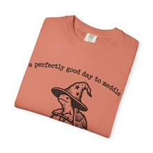 A Perfectly Good Day To Meddle T-Shirt