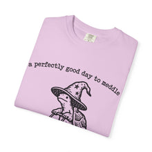 A Perfectly Good Day To Meddle T-Shirt