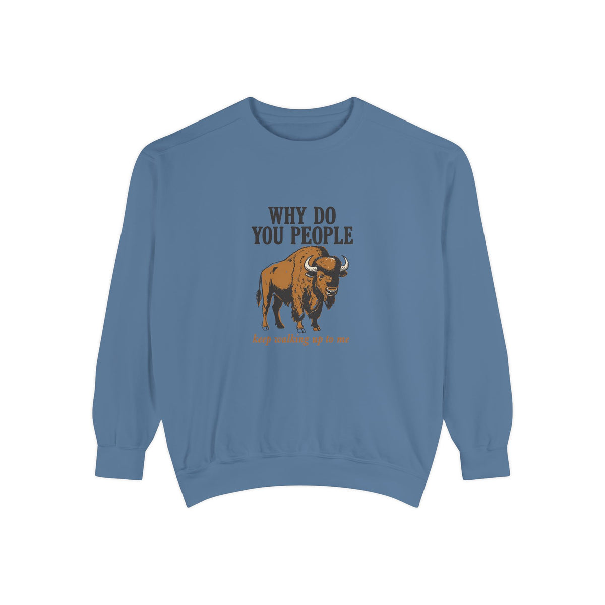 Why Sweatshirt