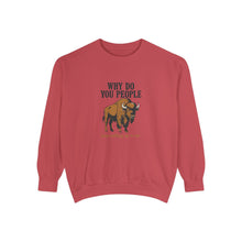 Why Sweatshirt