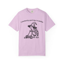 A Perfectly Good Day To Meddle T-Shirt