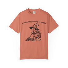 A Perfectly Good Day To Meddle T-Shirt