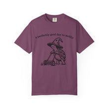 A Perfectly Good Day To Meddle T-Shirt