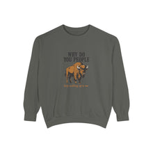 Why Sweatshirt