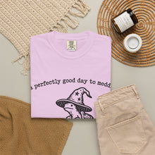 A Perfectly Good Day To Meddle T-Shirt