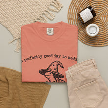 A Perfectly Good Day To Meddle T-Shirt