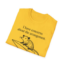 I Have Concerns About The Arrangement T-Shirt