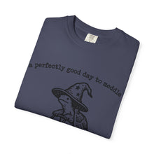 A Perfectly Good Day To Meddle T-Shirt