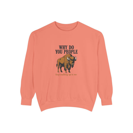Terracotta