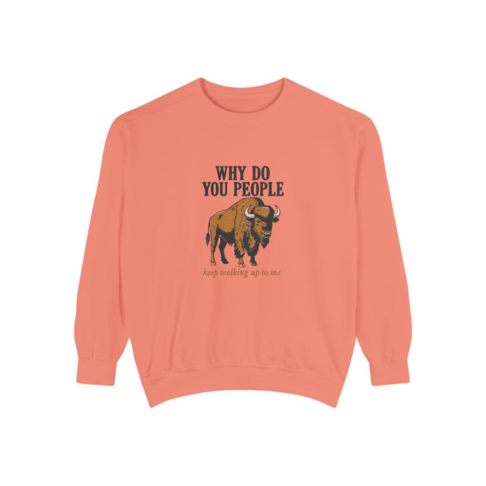 Why Sweatshirt