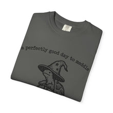 A Perfectly Good Day To Meddle T-Shirt