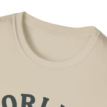 Okayest Hiker T-Shirt