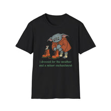 I Dressed For The Weather And A Minor Enchantment T-Shirt
