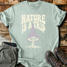Bay