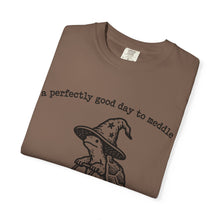 A Perfectly Good Day To Meddle T-Shirt