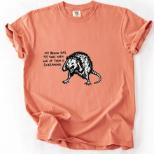 Sloth Hiking Club — terracotta