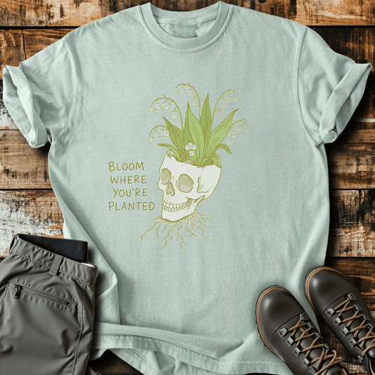 Sloth Hiking Club — bay