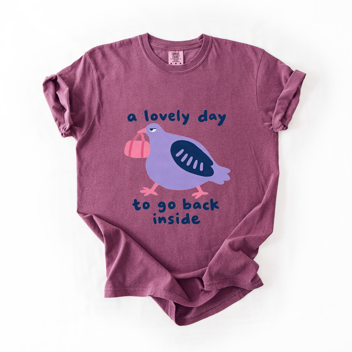 A Lovely Day To Go Back Inside T-Shirt