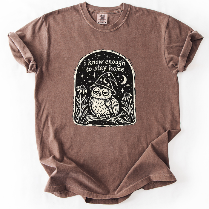 I Know Enough To Stay Home T-Shirt