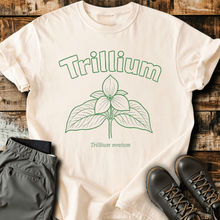 Sloth Hiking Club — ivory