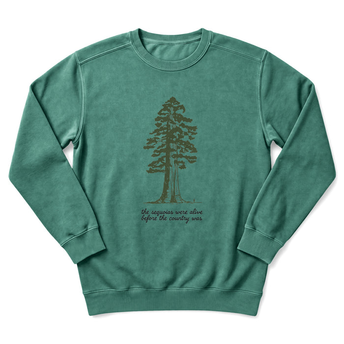 Sequioa Sweatshirt