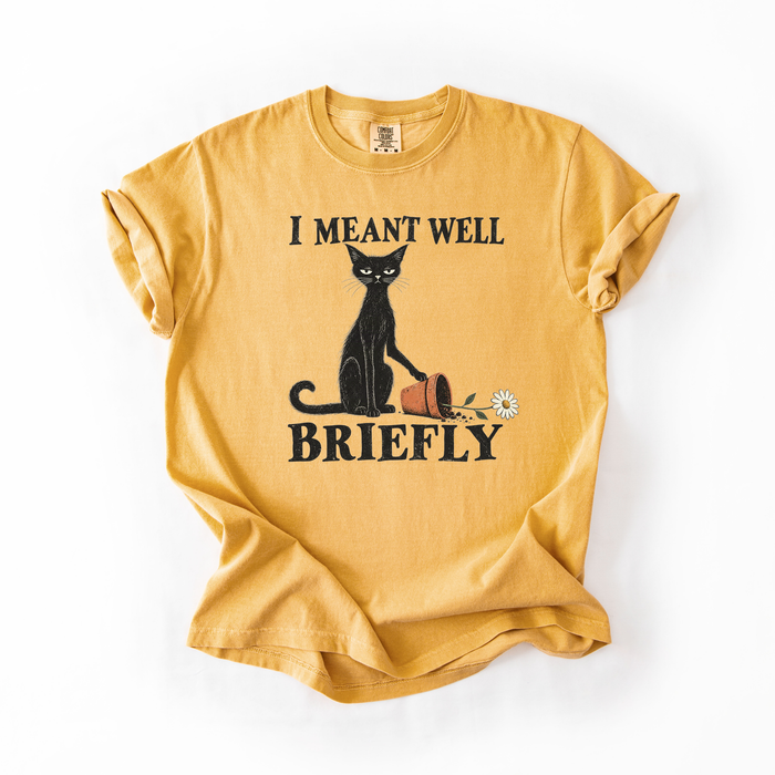 I Meant Well Briefly T-Shirt