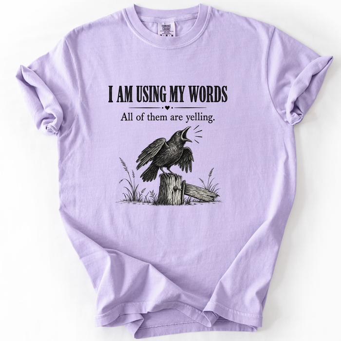 I Am Using My Words All Of Them Are Yelling T-Shirt