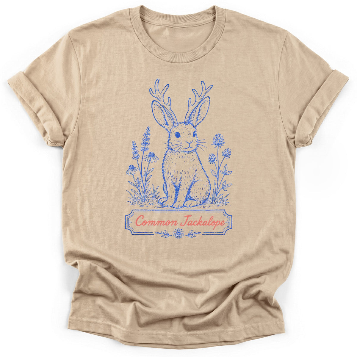 Sloth Hiking Club — sand