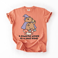 Sloth Hiking Club — terracotta