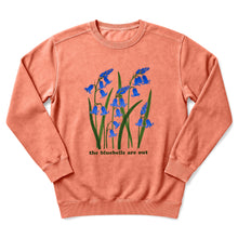Sloth Hiking Club — terracotta