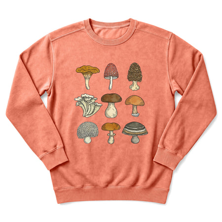 Terracotta