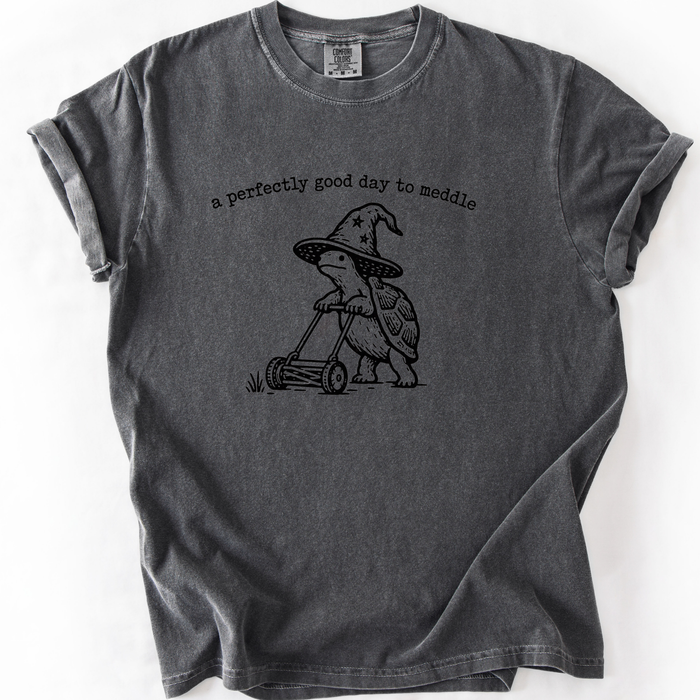 A Perfectly Good Day To Meddle T-Shirt