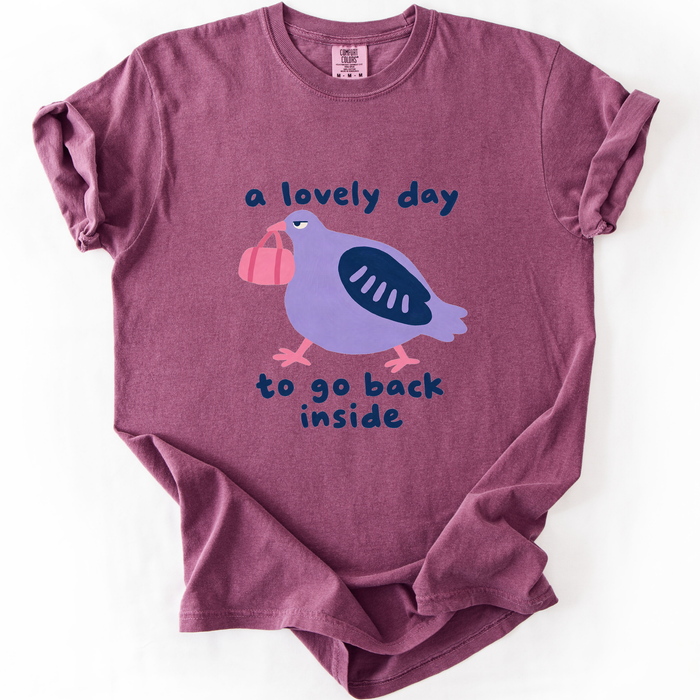 A Lovely Day To Go Back Inside T-Shirt