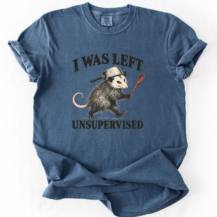 I Was Left Unsupervised T-Shirt