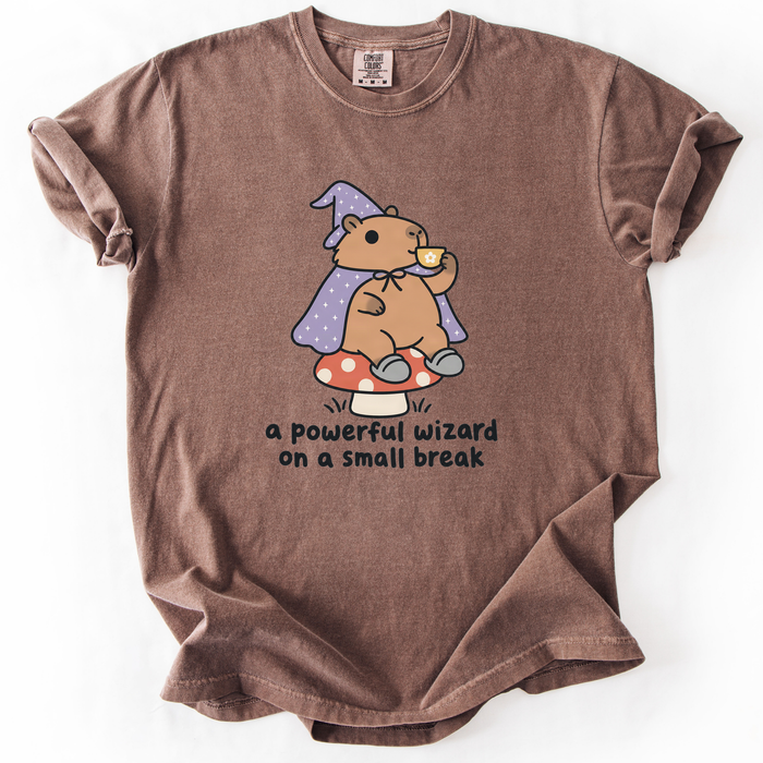 A Powerful Wizard On A Small Break T-Shirt