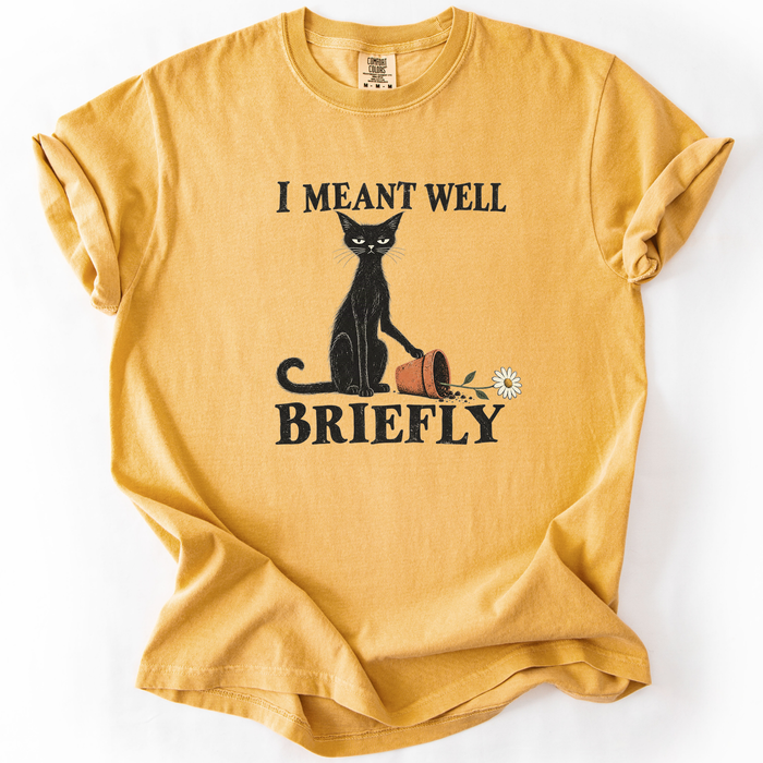 I Meant Well Briefly T-Shirt