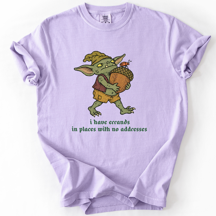 I Have Errands In Places With No Addresses T-Shirt