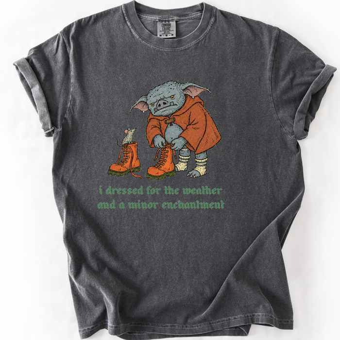 I Dressed For The Weather And A Minor Enchantment T-Shirt