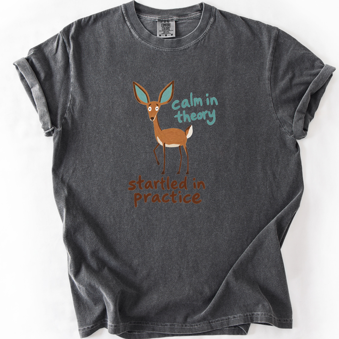 Calm In Theory, Startled In Practice T-Shirt