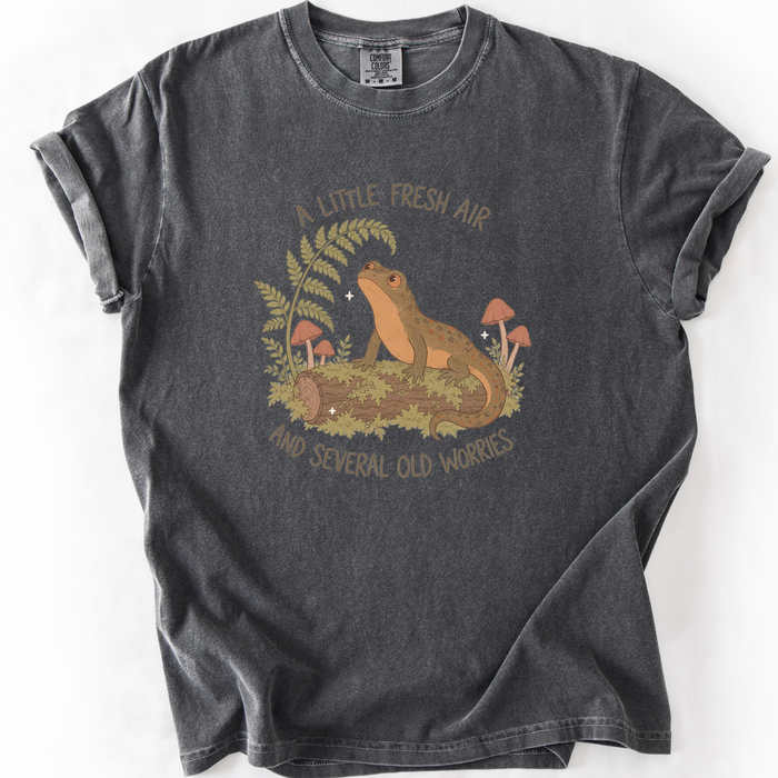 A Little Fresh Air And Several Old Worries T-Shirt
