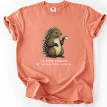 Sloth Hiking Club — terracotta