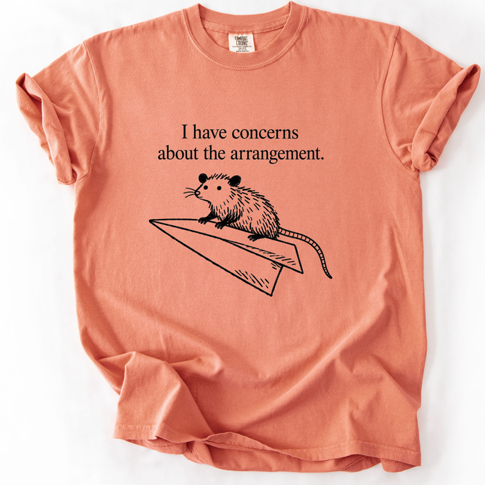 I Have Concerns About The Arrangement T-Shirt