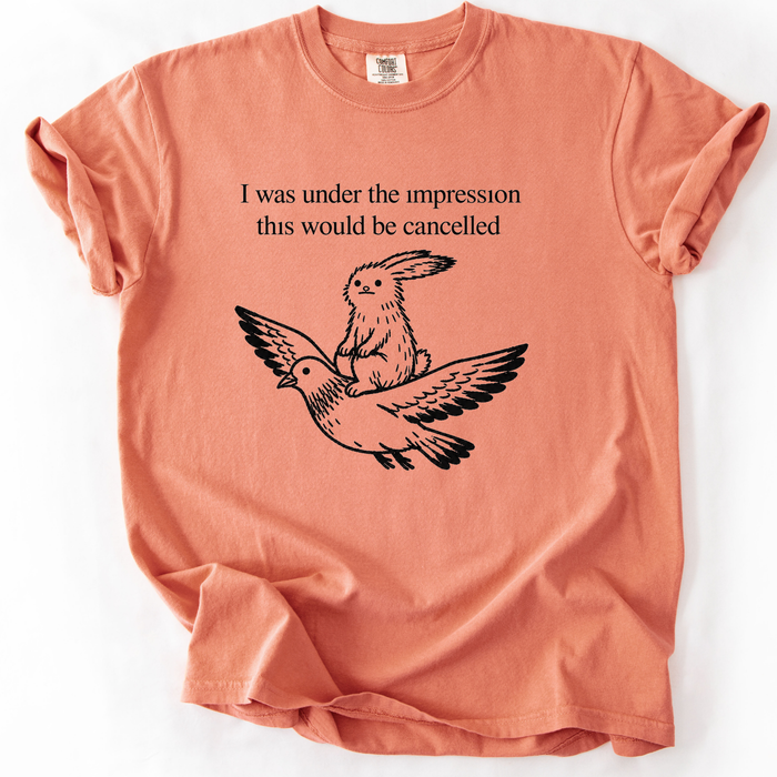 I Was Under The Impression This Would Be Cancelled T-Shirt